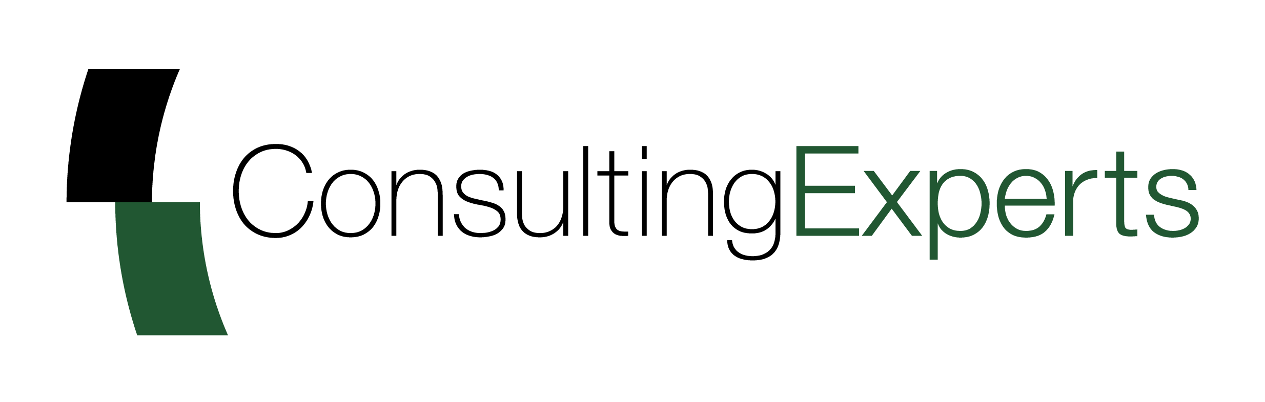 ConsultingExperts B.V. Logo