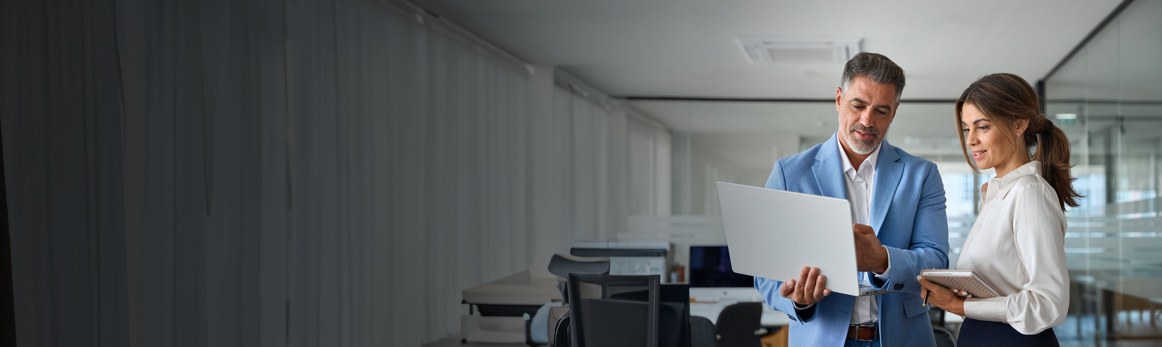 IBM Consultant with client