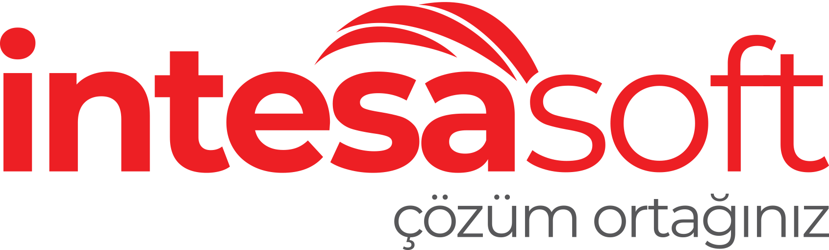 INTESASOFT YAZILIM DANISMANLIK BILGISAYAR HIZMETLERI SAN VE TIC LTD STI logo